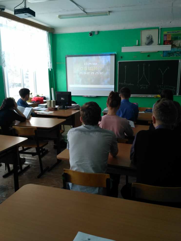 Смотрят фильм