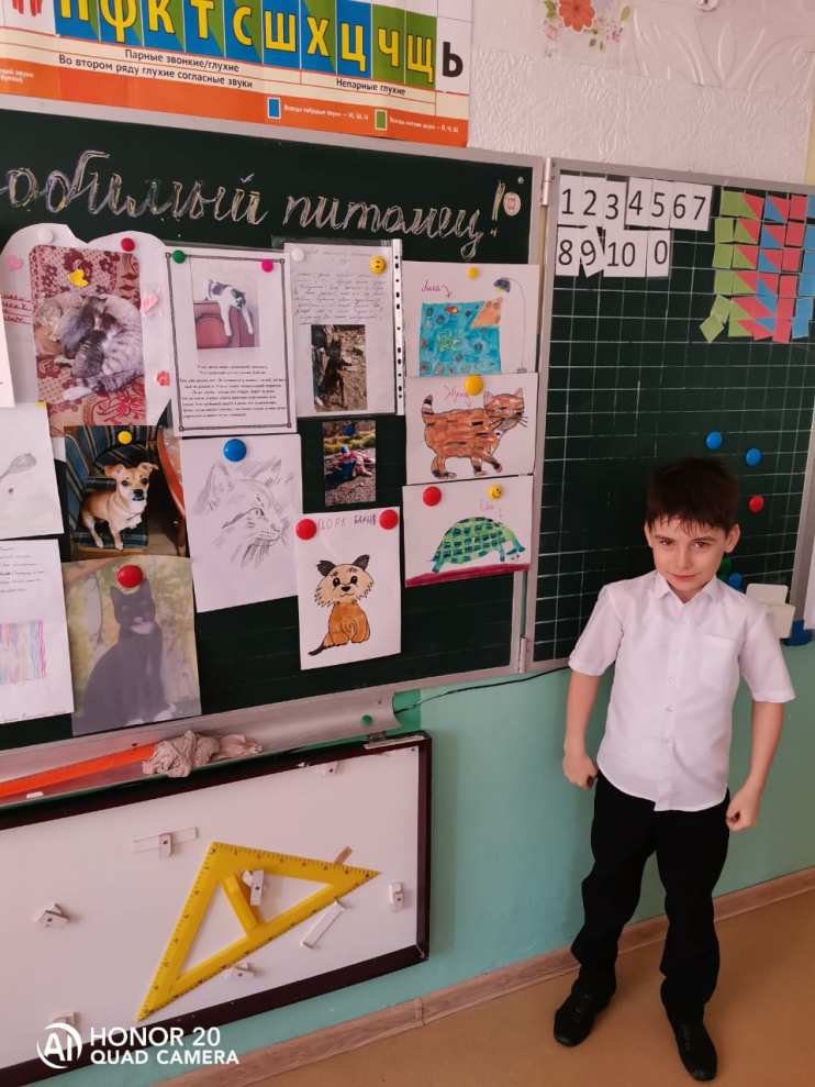 Проект Мой любимый питомец 1 класс - Блог Проценко Татьяна Николаевна