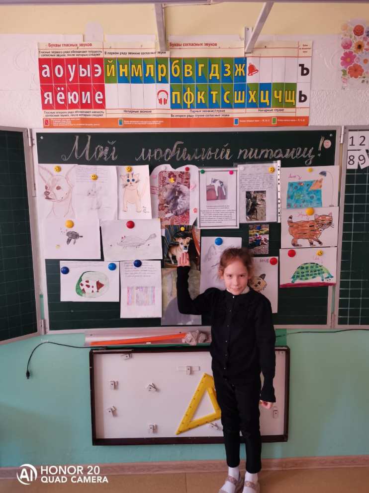 Проект Мой любимый питомец 1 класс - Блог Проценко Татьяна Николаевна