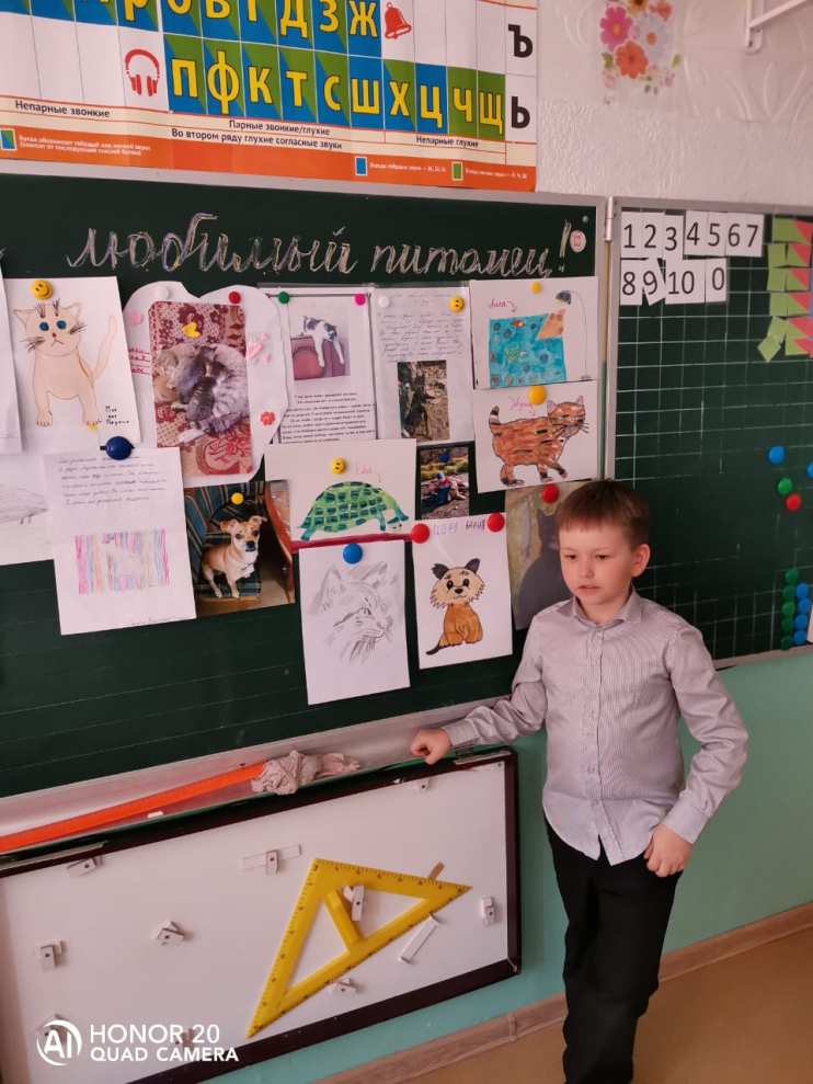 Проект Мой любимый питомец 1 класс - Блог Проценко Татьяна Николаевна