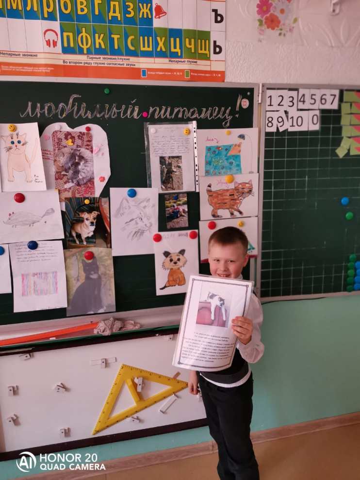 Проект Мой любимый питомец 1 класс - Блог Проценко Татьяна Николаевна