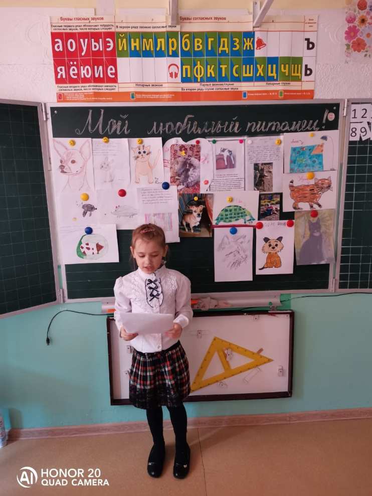 Проект Мой любимый питомец 1 класс - Блог Проценко Татьяна Николаевна