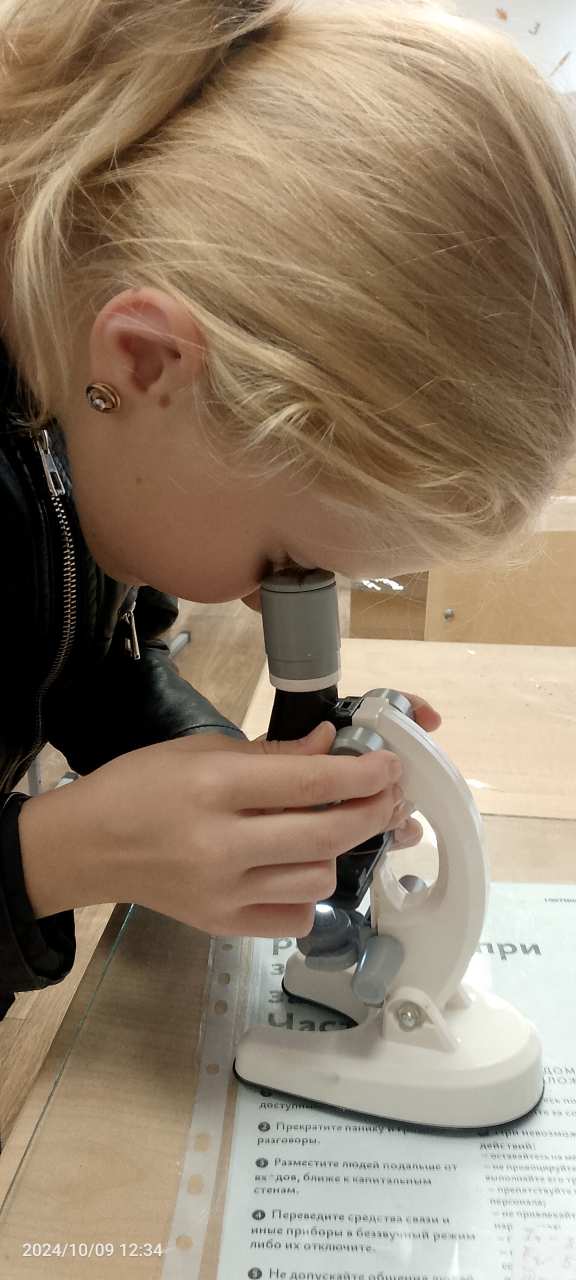 Изучение строения пчелиной лапки